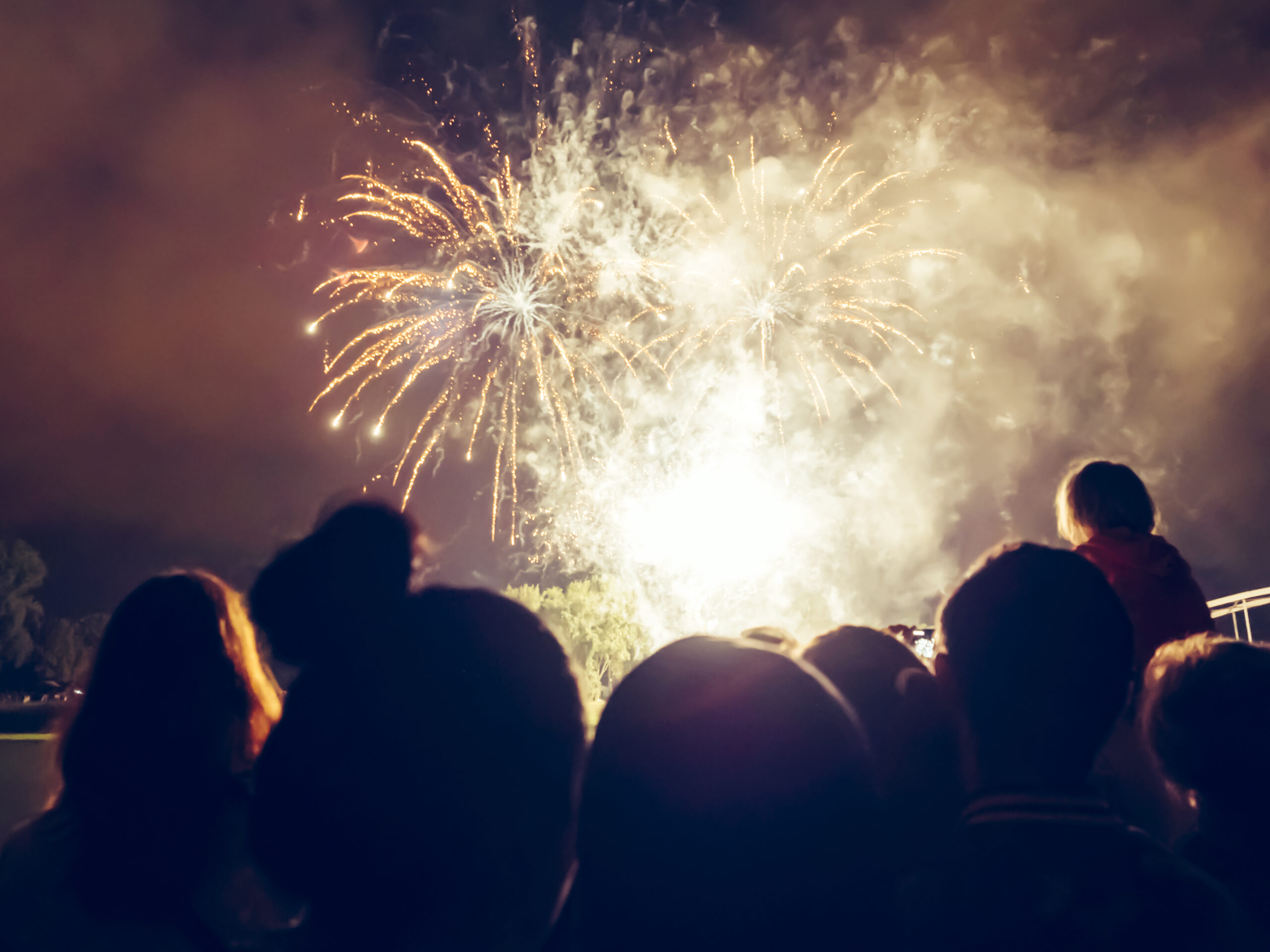 Fuochi d'artificio online | La proposta della Petarderia